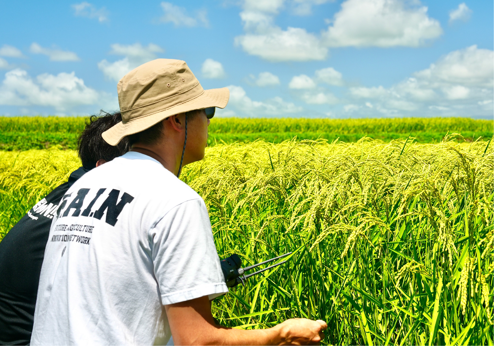 稲穂と2人の写真